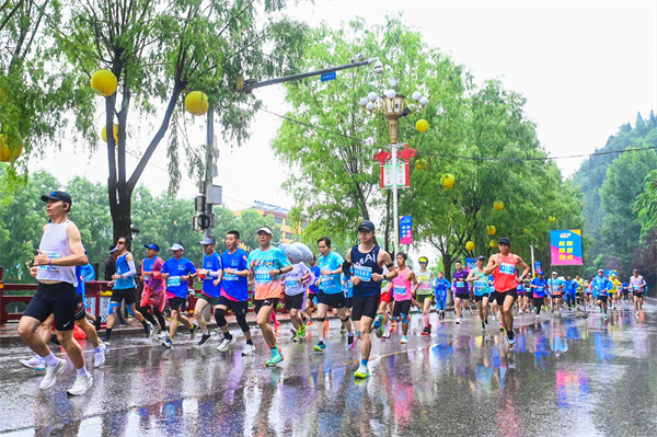 陕马3_副本.jpg 陕马3_副本.jpg