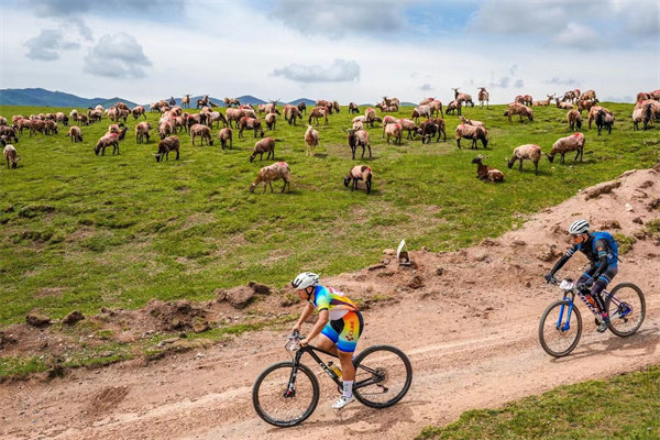 甘南1.jpg 甘南1.jpg