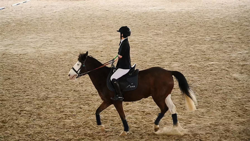 W020250320485074996889.jpg W020250320485074996889.jpg