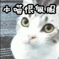 003.gif 003.gif
