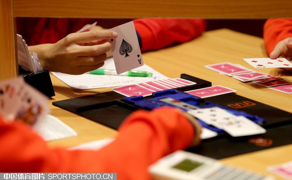 W_27576072_17070621_s.jpg W_27576072_17070621_s.jpg